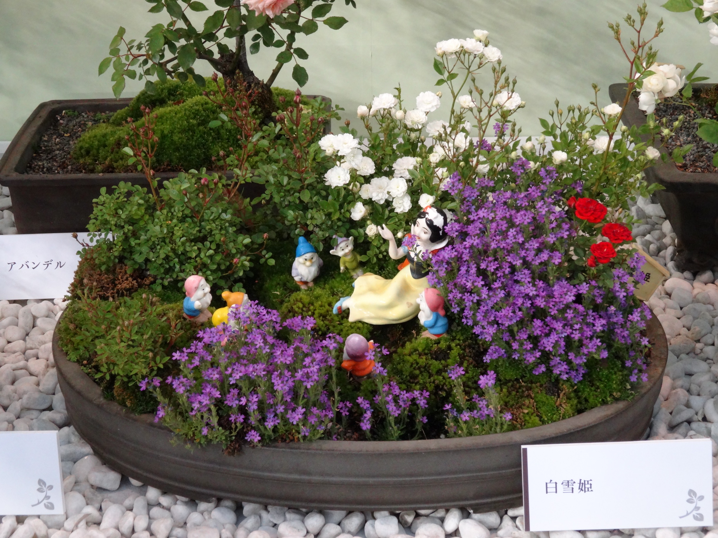 国際バラとガーデニングショウ4